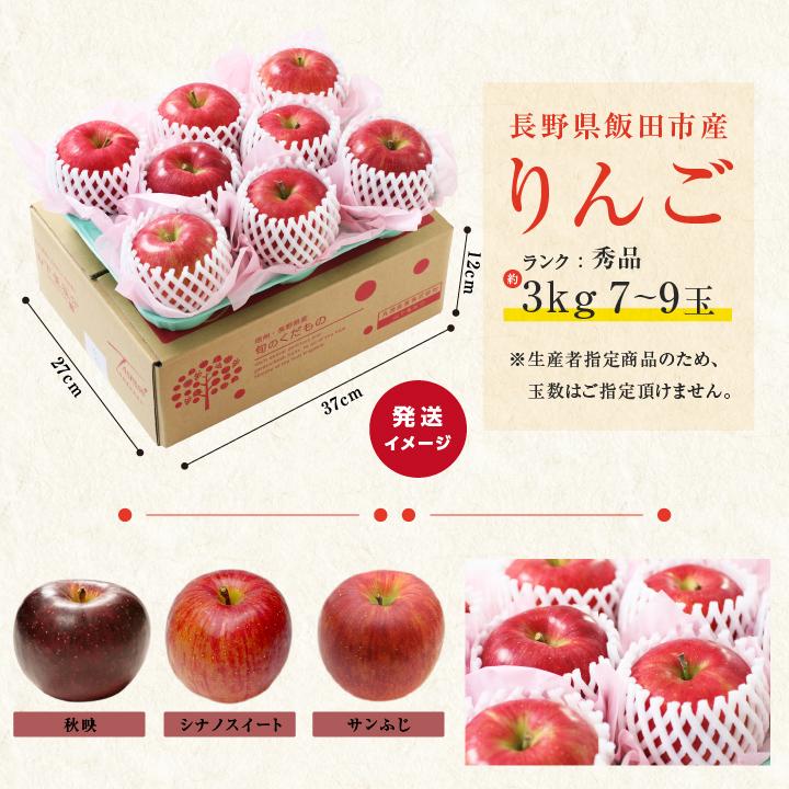山下屋荘介 長野県産 りんご 秀品 3kg 7〜9玉 産地直送 完熟りんご