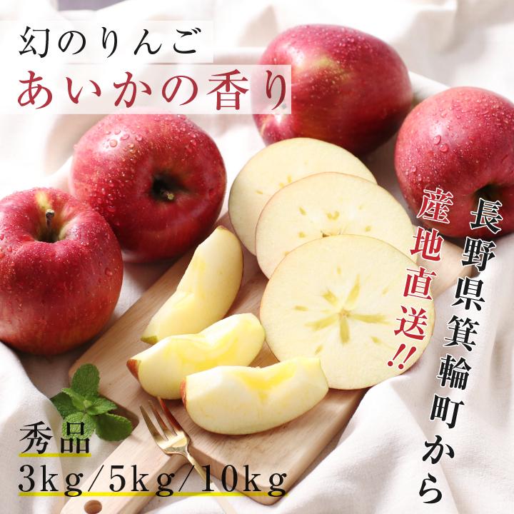 山下屋荘介 長野県産 りんご あいかの香り 秀品 5kg 10〜18玉 産地直送