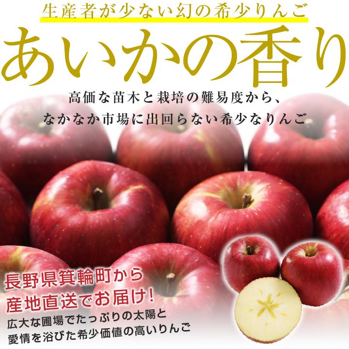 山下屋荘介 長野県産 りんご あいかの香り 秀品 5kg 10〜18玉 産地直送