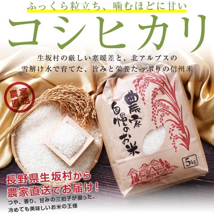 農家直送の美味しいお米 令和7年度産 ヒノヒカリ 25キロ 【公式通販】