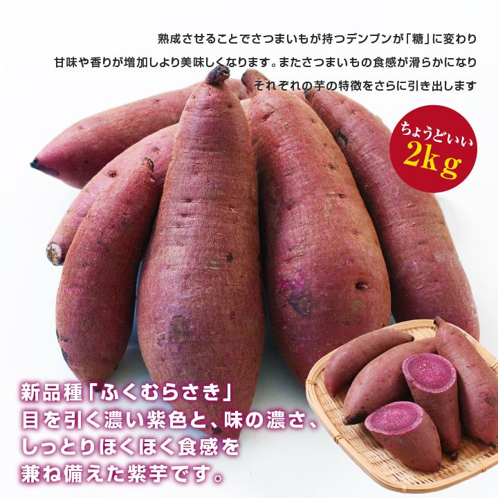 山下屋荘介 さつまいも ふくむらさき 2kg 紫芋 むらさきいも 千葉県産