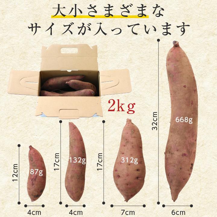 山下屋荘介 さつまいも ふくむらさき 2kg 紫芋 むらさきいも 千葉県産