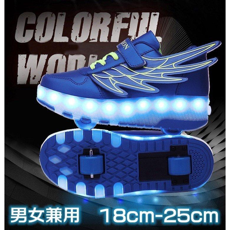 2輪 ローラースケート 子供用 光るローラーシューズ ローラースニーカー キッズ ジュニア 23センチ スポーツ