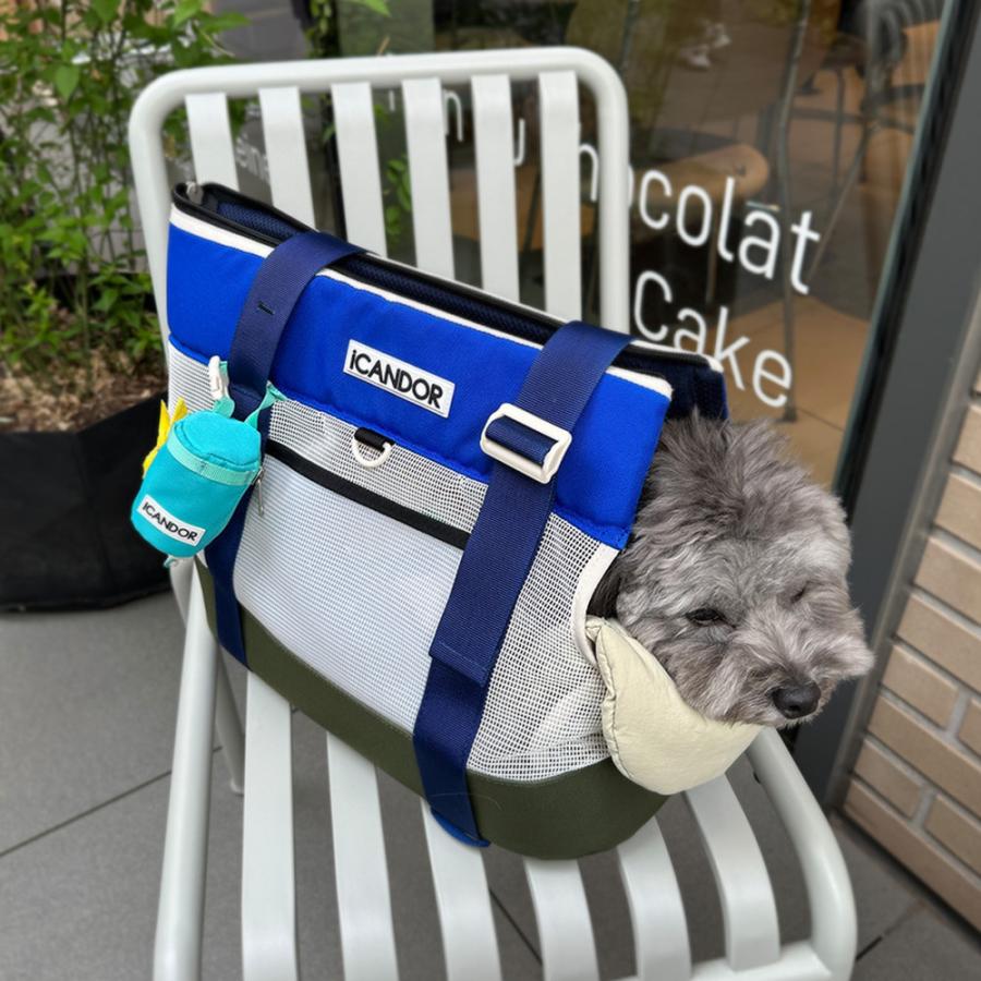 icandor アイキャンダー　ペットキャリー L / 美品 icandor アイキャンダー ペットキャリー L / 美品 - メルカリ