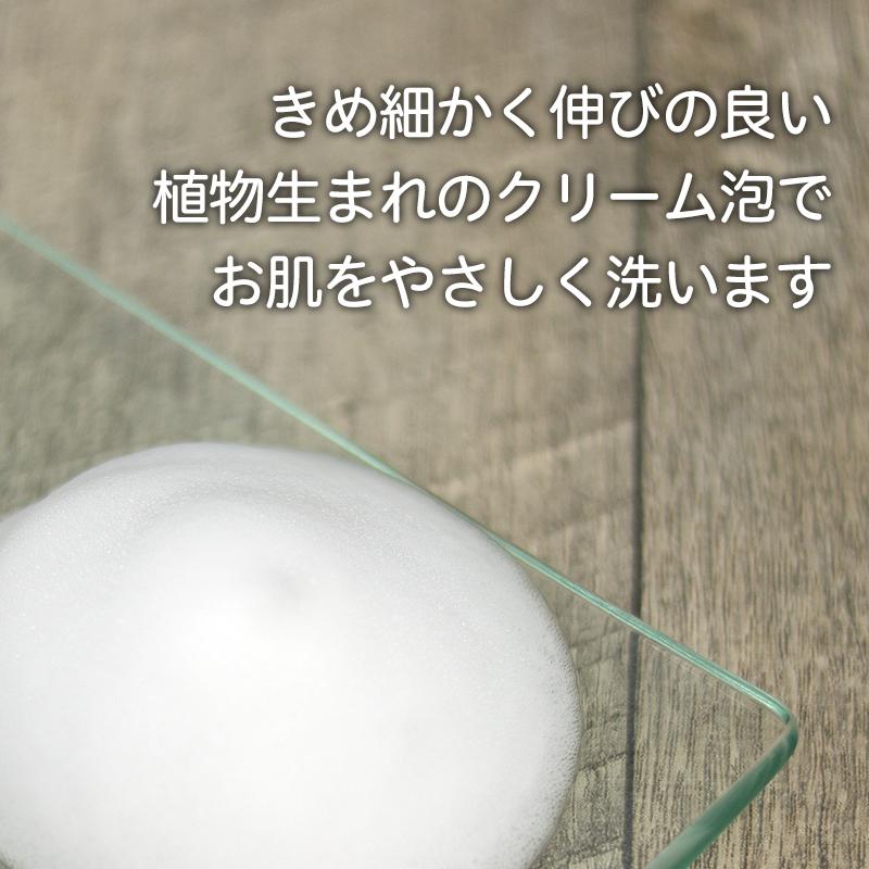 ボディソープ 泡 詰め替え 泡タイプ 泡で出る せっけん お風呂 洗顔 赤ちゃん 敏感肌 | 無添加生活 無添加 泡の石けんボディソープ 詰め替えパウチ 450mL | マックス | 02
