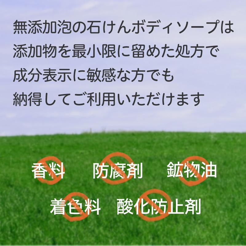 ボディソープ 泡 詰め替え 泡タイプ 泡で出る せっけん お風呂 洗顔 赤ちゃん 敏感肌 | 無添加生活 無添加 泡の石けんボディソープ 詰め替えパウチ 450mL | マックス | 03