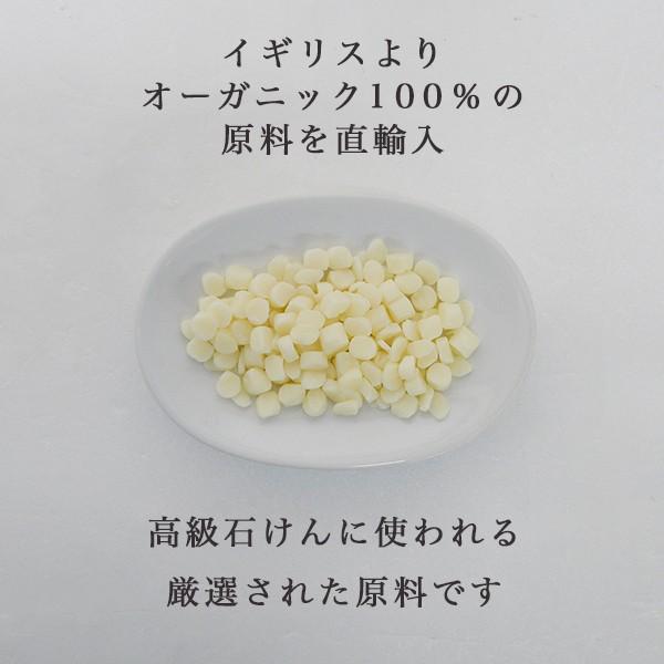 洗顔 石鹸 無添加 オーガニック せっけん 石けん ころころ 洗顔石けん 泡立てネット 有機栽培 パーム ココナッツオイル 100 無香料 無着色 パラベンフリー マックス石鹸webshop Yahoo 店 通販 Yahoo ショッピング