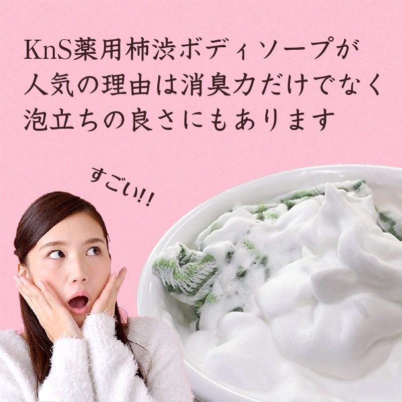 11円 期間限定の激安セール ボディソープ 体臭 加齢臭 メンズ メンズコスメ 薬用 デオドラント 男 柿のさち Kns 柿渋 ボディ 450ml ボトル 2本セット