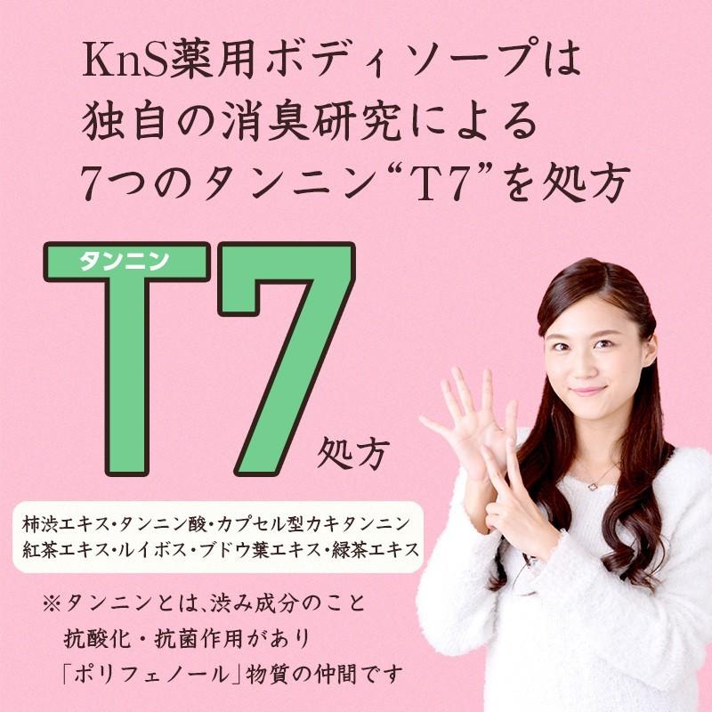 11円 期間限定の激安セール ボディソープ 体臭 加齢臭 メンズ メンズコスメ 薬用 デオドラント 男 柿のさち Kns 柿渋 ボディ 450ml ボトル 2本セット