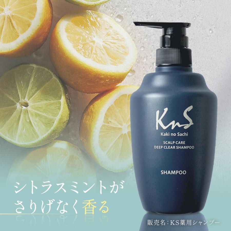 【KnS】 デオドラント 加齢臭 汗臭 ニオイ フケ 薬用 柿渋 炭 頭皮 柿のさち メンズコスメ | 薬用柿渋スカルプケアシャンプー500mL×2本 | マックス | 08