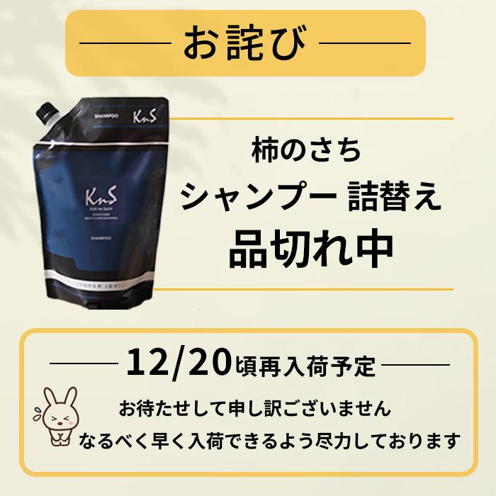 シャンプー kn マックス（MAX） 【KnS】 シャンプー デオドラント 加齢臭 汗臭 ニオイ