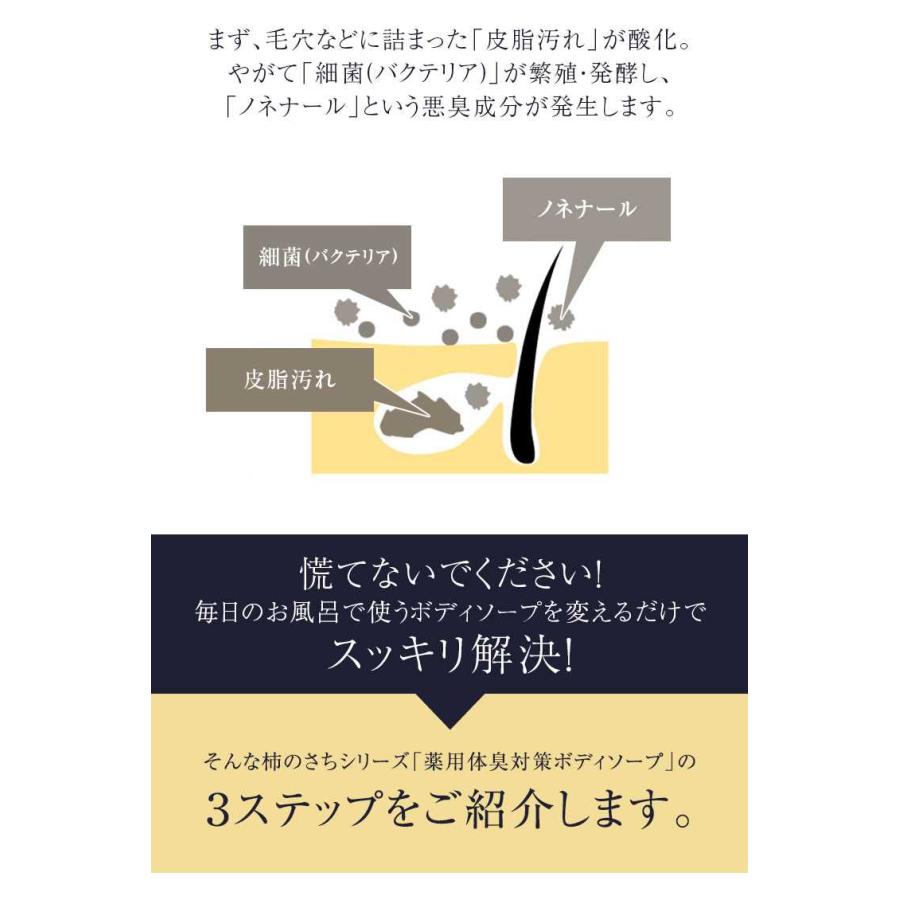 KnS 】柿のさち 薬用柿渋ボディソープ 800mL詰替えパウチ3個セット
