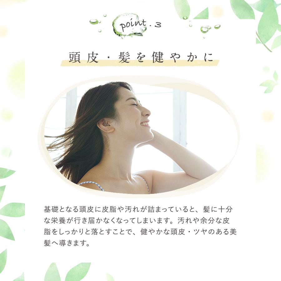 シャンプー 炭酸 無添加 サロン フケ防止 ノンシリコン リンゴ幹細胞エキス オイル いい匂い エイジング かゆみ 市販 プレミアム炭酸泡シャンプー 綺澪 0g マックス石鹸webshop Yahoo 店 通販 Yahoo ショッピング