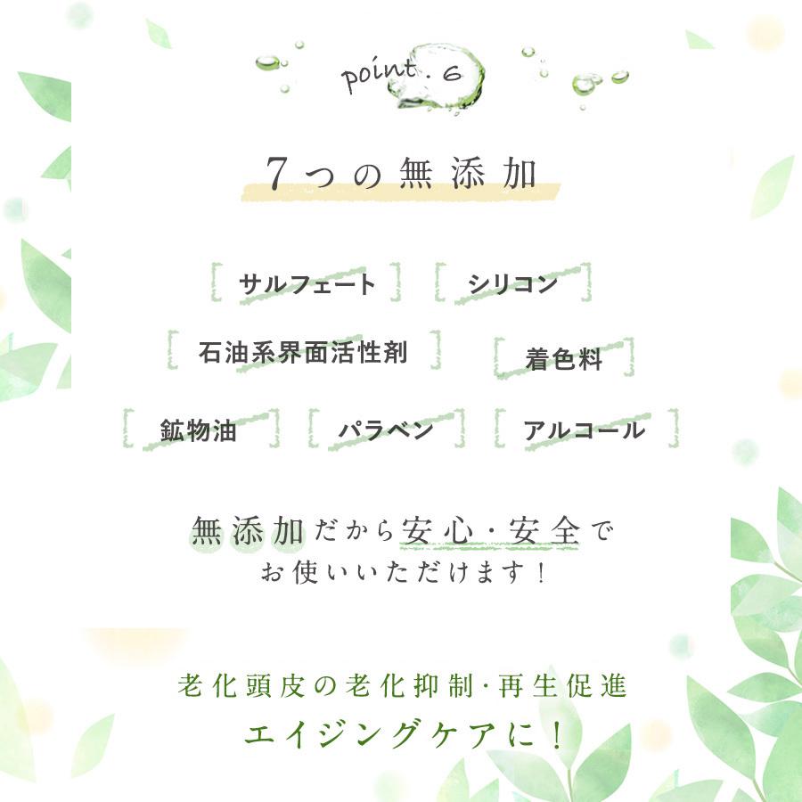 シャンプー 炭酸 無添加 サロン フケ防止 ノンシリコン リンゴ幹細胞エキス オイル いい匂い エイジング かゆみ 市販 プレミアム炭酸泡シャンプー 綺澪 0g マックス石鹸webshop Yahoo 店 通販 Yahoo ショッピング