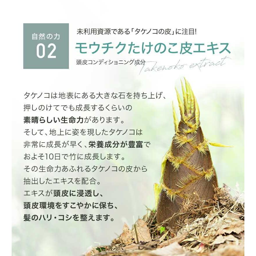 KnS 柿のさち スカルプトニック 柿渋 柿タンニン 頭皮ケア | マックス | 04