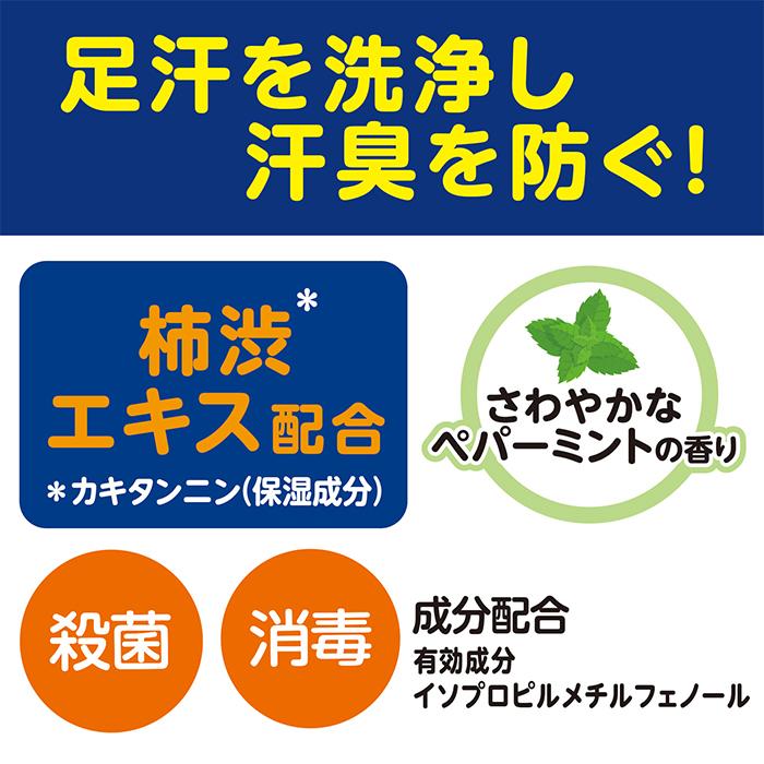 足 ニオイ 臭い 対策 予防 薬用 フット ソープ 足用 せっけん 体臭 手洗い 泡 スプレー 保湿 医薬部外品 | 薬用柿渋帰ってスグの足洗いソープ 250mL | マックス | 02