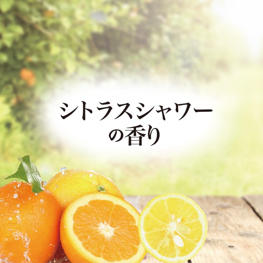 泡の洗顔料 Vita Whip ビタホイップ 詰替 250ml シャワーシトラスの香り |  | 04