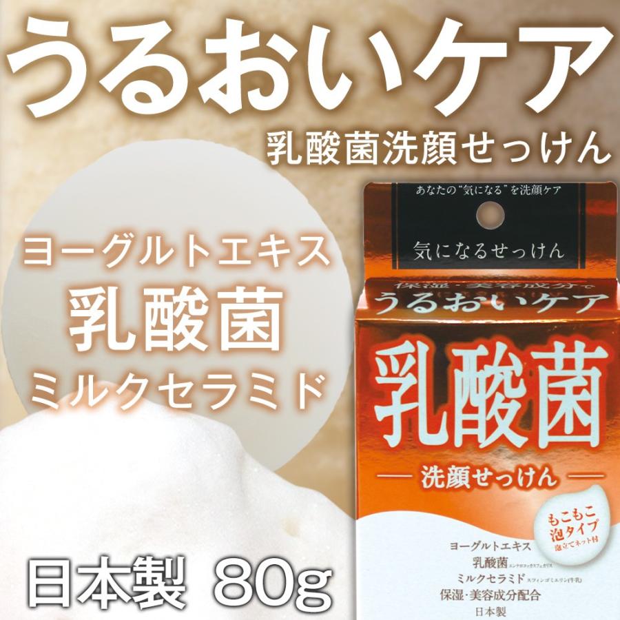 洗顔 せっけん 乳酸菌 石鹸 洗顔石鹸 気になる 石けん 固形 洗顔ネット 泡立てネット ヨーグルトエキス ミルクセラミド ミルキーフローラルの香り マックス石鹸webshop Yahoo 店 通販 Yahoo ショッピング