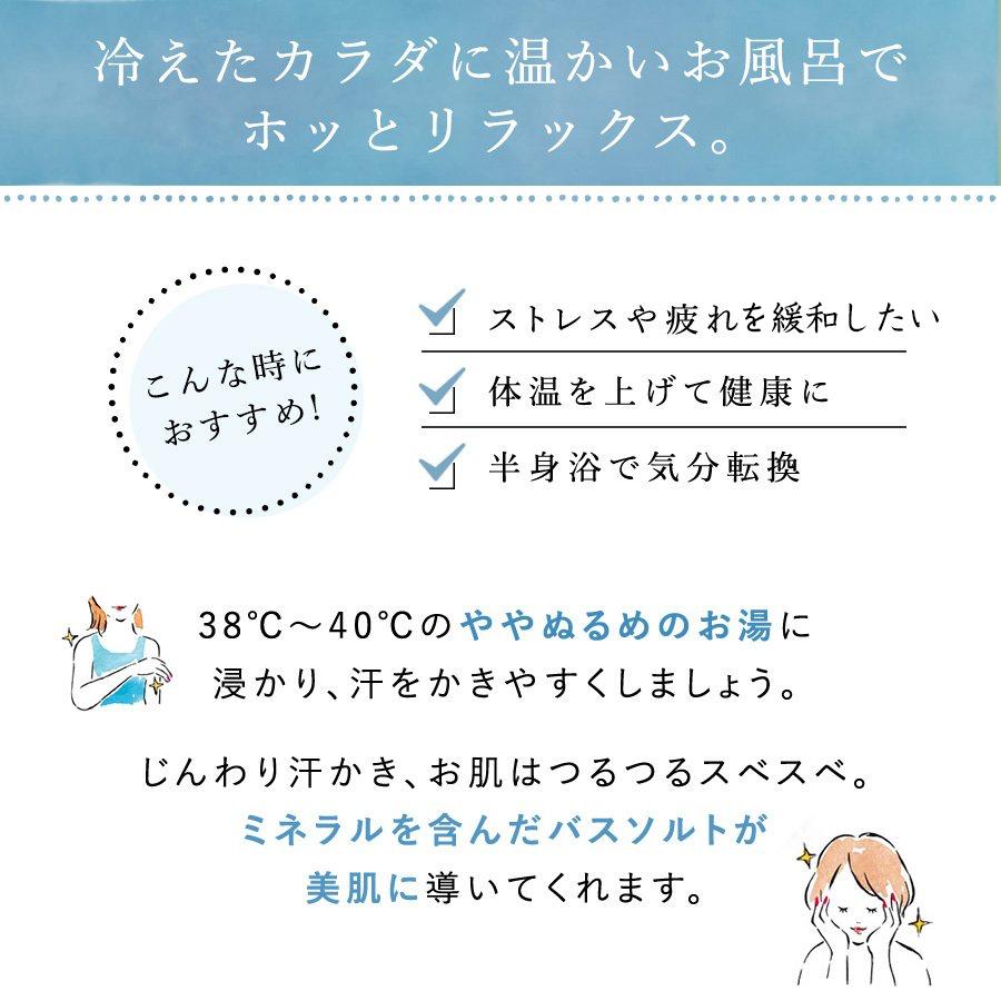 バスソルト 入浴剤 まとめ セット 塩風呂 プレゼント 半身浴 発汗 スキンケア 汗かきエステ気分 35g 6包 １着でも送料無料 ニキビ 美肌 分包アソート 塩 肌荒れ エステ 風呂