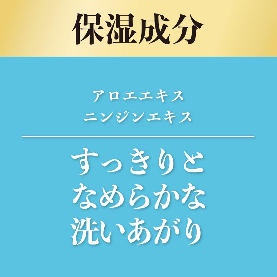 アレルジーナ 抗ヒスタミン成分配合ボディソープ 液体タイプ 詰替