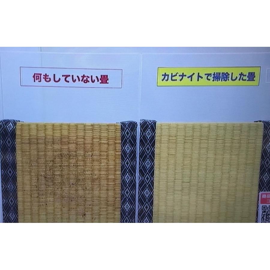 カビ取り剤 カビナイトストロング 詰め替えパウチ5袋 防カビ 湯アカ 塩素不要 洗浄 浴室 窓 カーテン 黒カビ 赤カビ 畳 R ナチュラル雑貨tenten 通販 Yahoo ショッピング