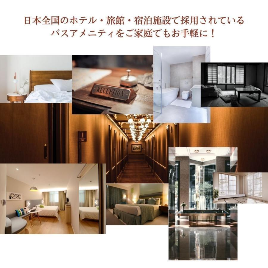 極上 ハジマリ ボタニカル ボディソープ HAJIMARI BOTANICAL