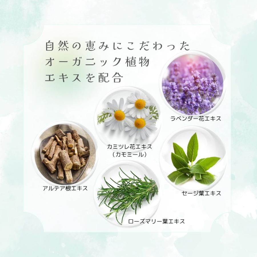 山陽物産 HAJIMARI フォームソープ 業務用1.8リットル 空ボトル1本付