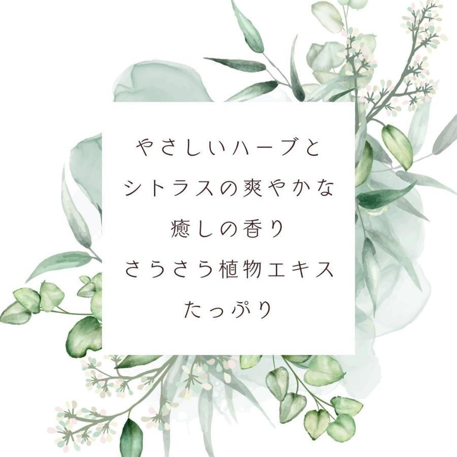 山陽物産 ハジマリオーガニック 3種セット シャンプー/コンディショナー/ボディソープ HAJIMARI ORGANIC［ 日本製 ］2Lパウチ×3種各1袋 + 400ml空ボトル各1本付 | オーガニック | 07