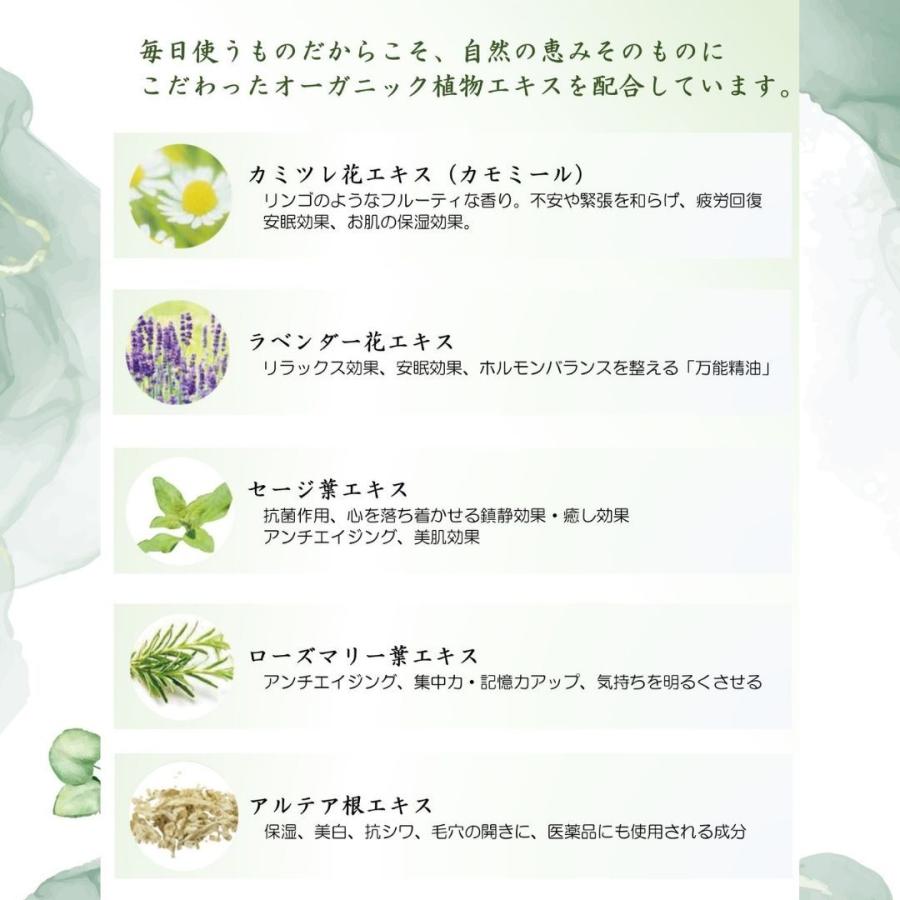 ハジマリ オーガニック シャンプー/コンディショナー/ボディソープ HAJIMARI ORGANIC［ 日本製 ］2Lパウチ ×3種各1袋 + 400ml専用空容器 3種 各1本｜soari34｜09