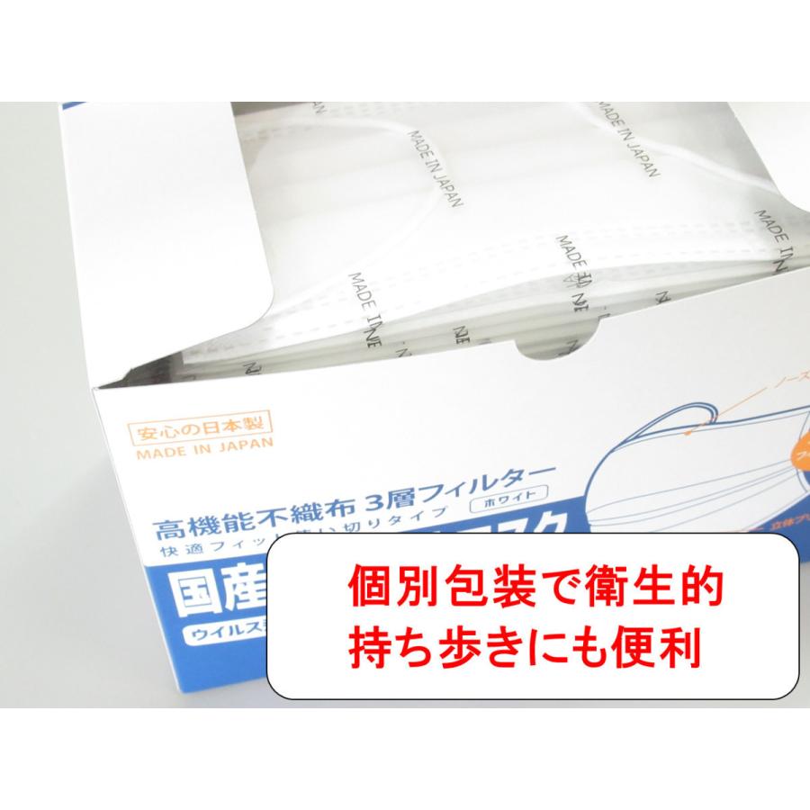 個包装 1000枚 日本製 不織布 マスク 衛生的 立体 プリーツ 呼吸しやすい 携帯しやすい 持ち歩き 高機能 個別包装 不織布マスク 国産 自社工場製造