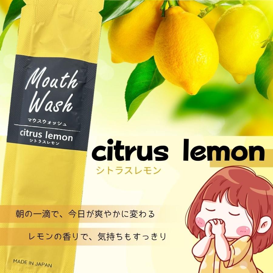 ソアリコスメ マウスウォッシュ ミラー 個包装 10ml マイルドミント