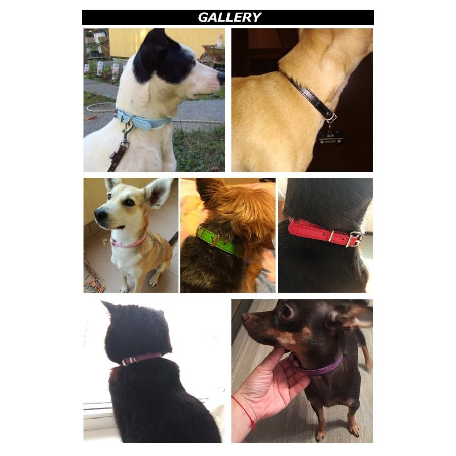 犬 猫 首輪 レザー 合皮 ペット 服 キャット ドッグ ペットグッズ 小型
