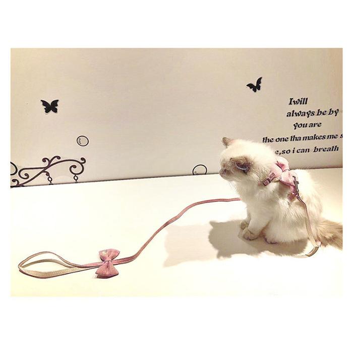 猫 犬 ハーネス リード ペット 服 リボン フラワー ウェアハーネス 胴