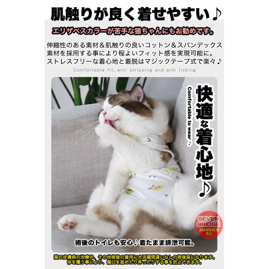 日本未発売 猫 犬 術後服 術後ウェア フルーツ 服 傷 舐めない 傷口保護 ペット用品 ペット服 エリザベスカラー Aynaelda Com