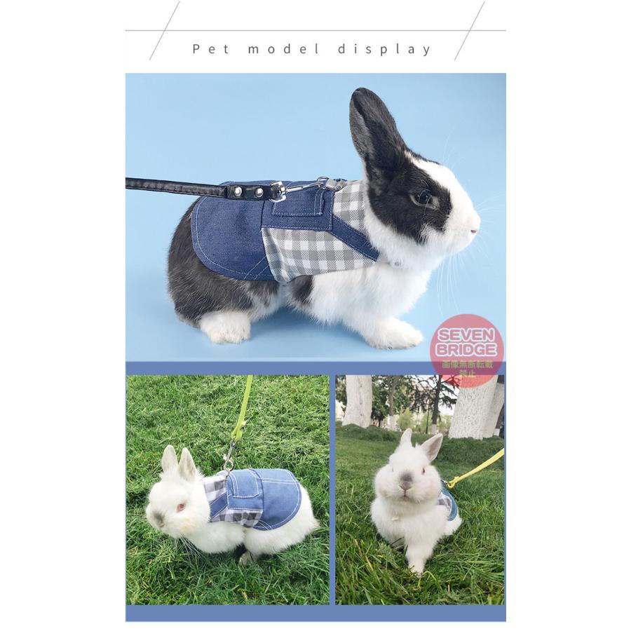 うさぎ ウサギ ハーネス リード 付 小動物 モルモット