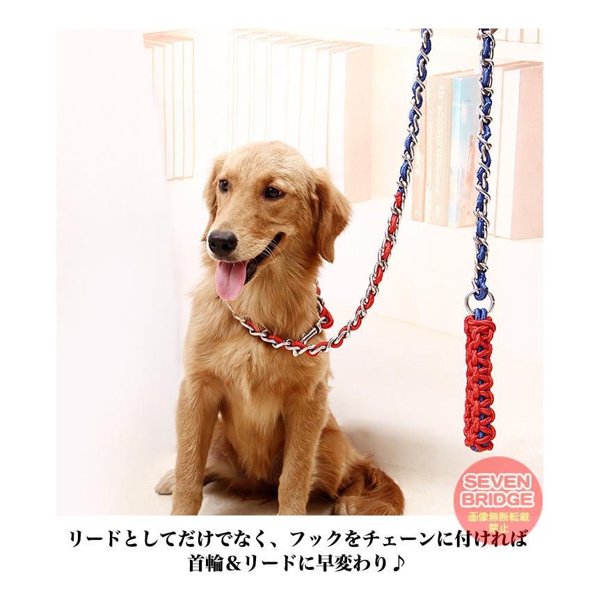 大型犬用カラー&リード h0399.jpg