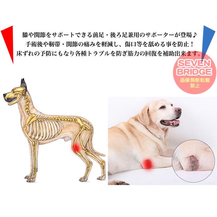 満点の 犬 用 関節プロテクター 前足後足左右兼用 膝 サポーター 関節保護 術後 治療 ペット用品 ペット服 Aynaelda Com