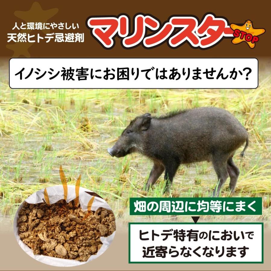 有機JAS認定 正規代理店 ヒトデ 忌避剤 マリンスター20リットル 約10キロ 害獣対策 業務用 グリーンパワー 粉末 害獣 カラス ハト ネズミ ハクビシン サポニンの画像