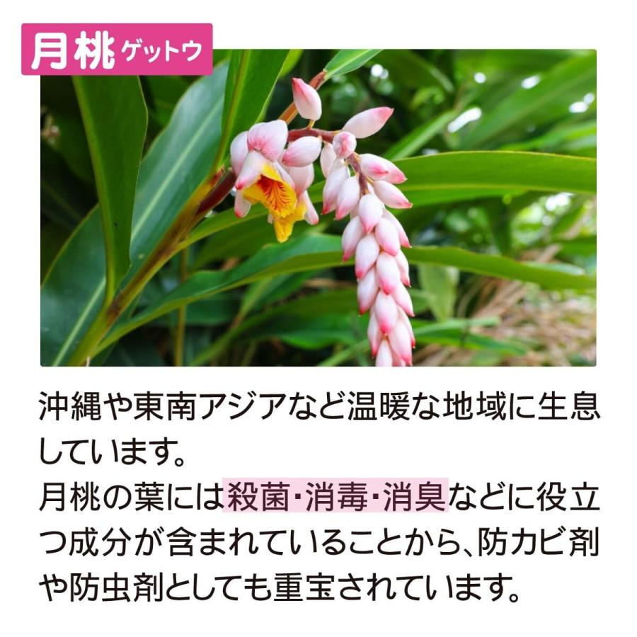 ネズミ ゴキブリ 天然 ヒトデ 忌避剤【マリンスターDX】(100g入×2個