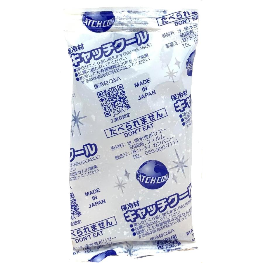 保冷剤 ミニ 5個入 100g キャッチクール CH-100  70mm×150mm 弁当 保冷材 長方形 蓄冷材 保冷バッグ 業務用  日本製 保存  子供  長時間 キャンプ | 