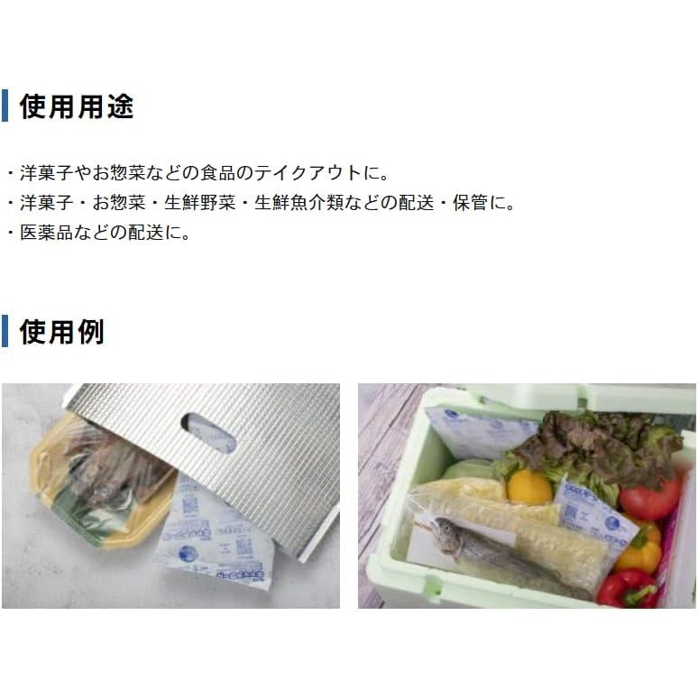 保冷剤 ミニ 5個入 100g キャッチクール CH-100  70mm×150mm 弁当 保冷材 長方形 蓄冷材 保冷バッグ 業務用  日本製 保存  子供  長時間 キャンプ |  | 02