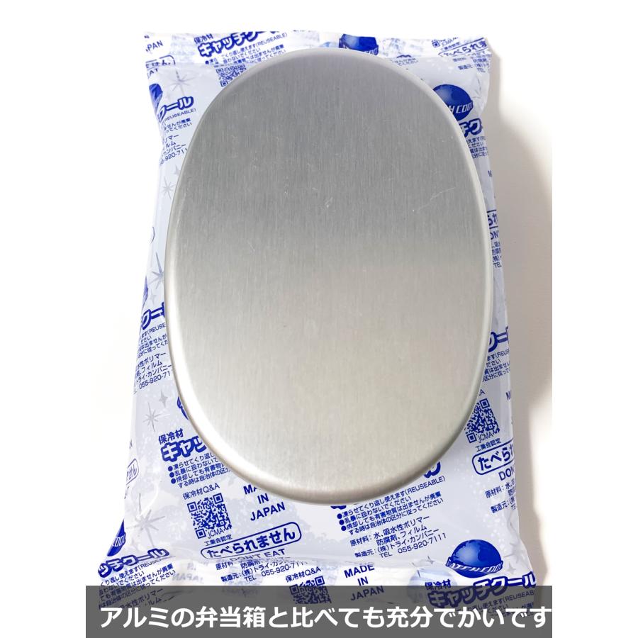保冷剤 500g ミニ キャッチクール CH-500 140×220 大きめ 大判 蓄冷材  保冷バッグ 業務用 トライカンパニー 日本製 保存 弁当 保冷材 長持ち 子供  長時間 |  | 04