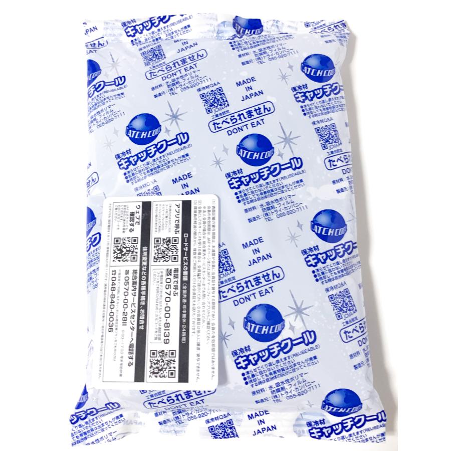 保冷剤 500g ミニ キャッチクール CH-500 140×220 大きめ 大判 蓄冷材  保冷バッグ 業務用 トライカンパニー 日本製 保存 弁当 保冷材 長持ち 子供  長時間 |  | 05