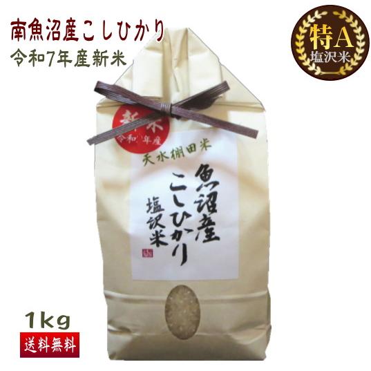 コシヒカリ 送料無料（令和6年産新米） 南魚沼産 塩沢米 1kg