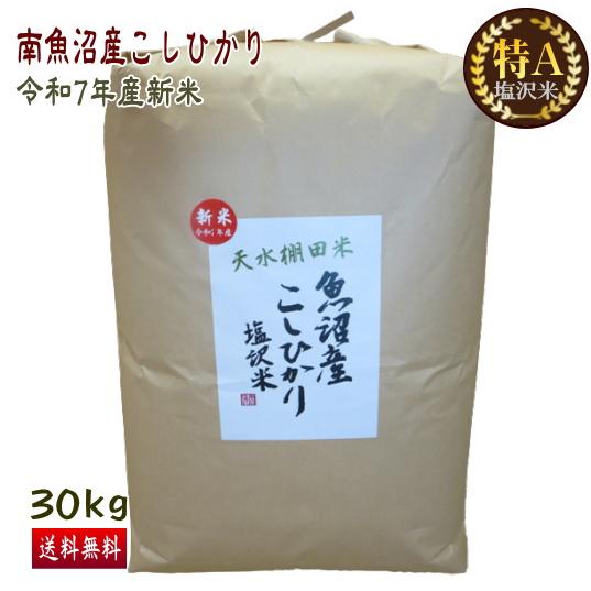 令和7年度産 南魚沼しおざわコシヒカリ 30kg 【公式通販】