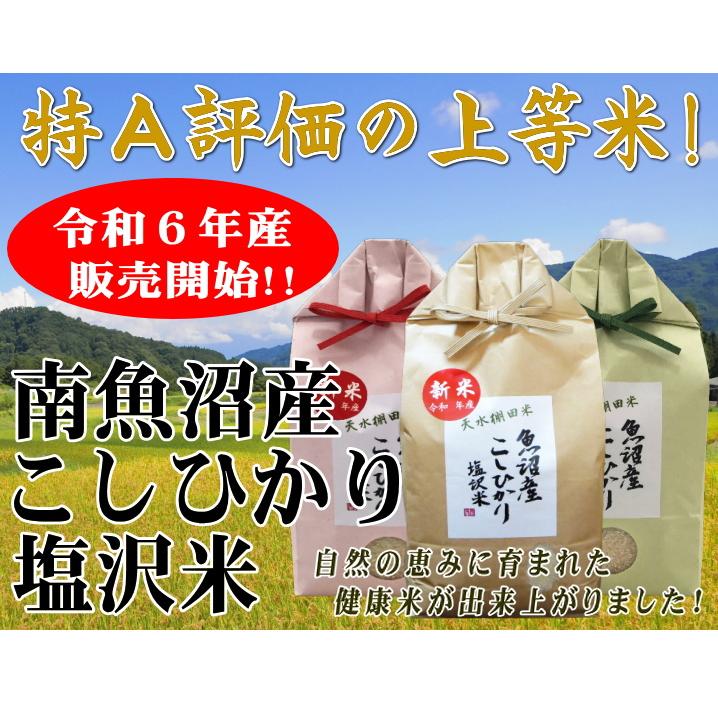 【一等米】 南魚沼市塩沢産　コシヒカリ 30キロ 令和6年度産 送料込み コシヒカリ 米 令和6年 お米 新潟県南魚沼しおざわ産プレミアム