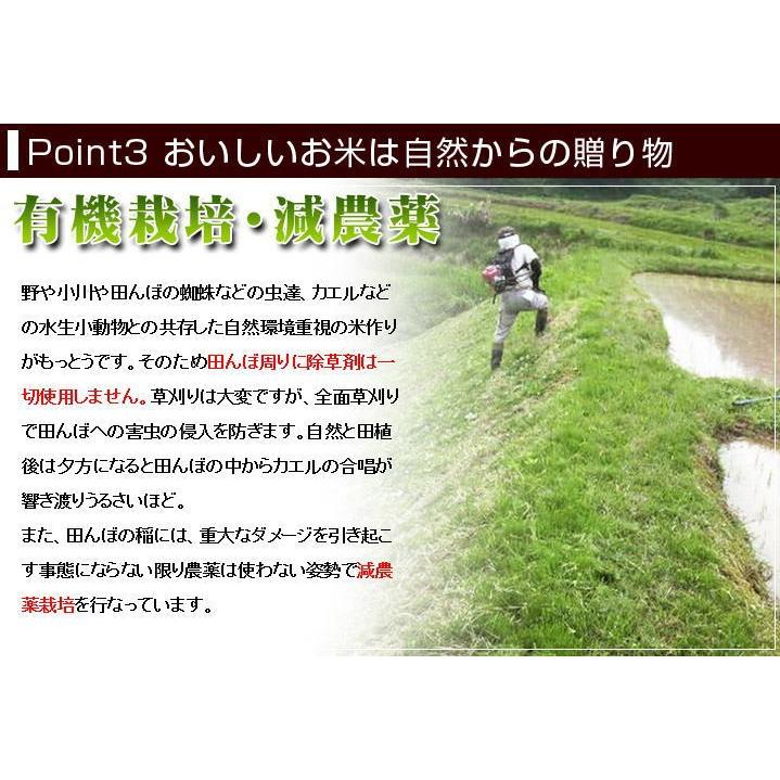 送料無料 （令和5年新米） 徳用 南魚沼産 コシヒカリ 塩沢米 玄米 30kg 産地直送 こしひかり｜soarshop｜05