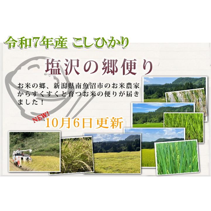 コシヒカリ 定期購入 （令和7年産新米） 徳用 南魚沼産 塩沢米 30kg
