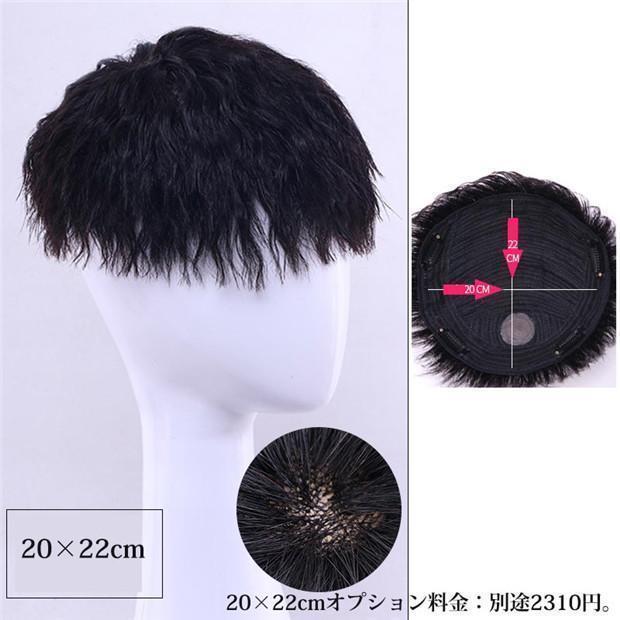 部分ウィッグ メンズ 短髪 巻き毛 自然人毛 メンズウィッグ男性用 おしゃれ耐熱ウィッグ かつら インテリウィッグ 日常用 ウィッグ かつらの画像