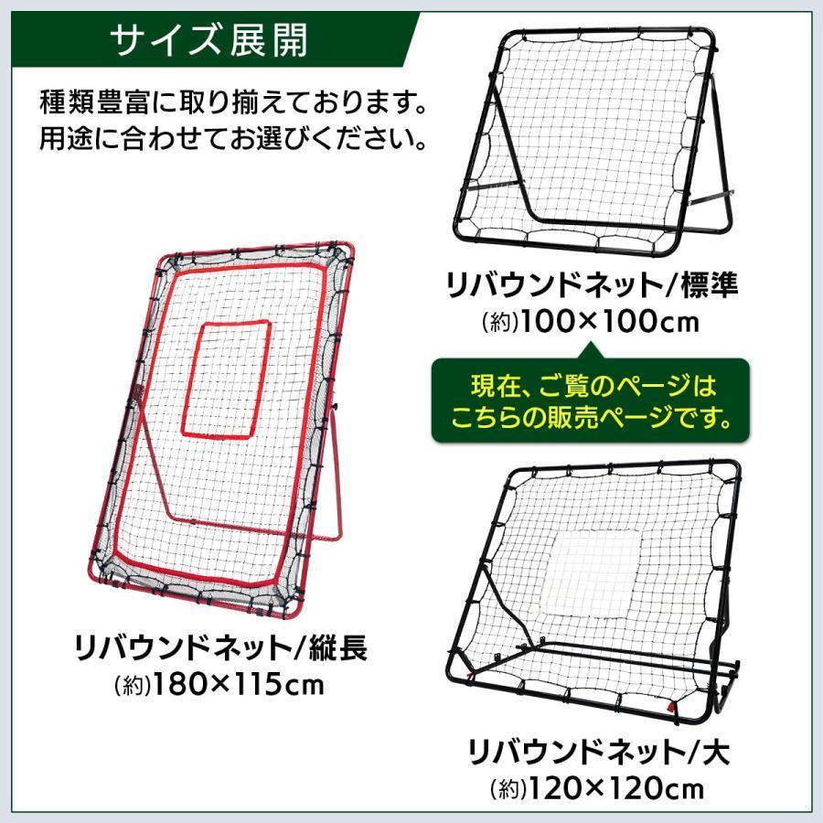 リバウンドネット サッカー 野球 リバウンダー ラダー トレーニング